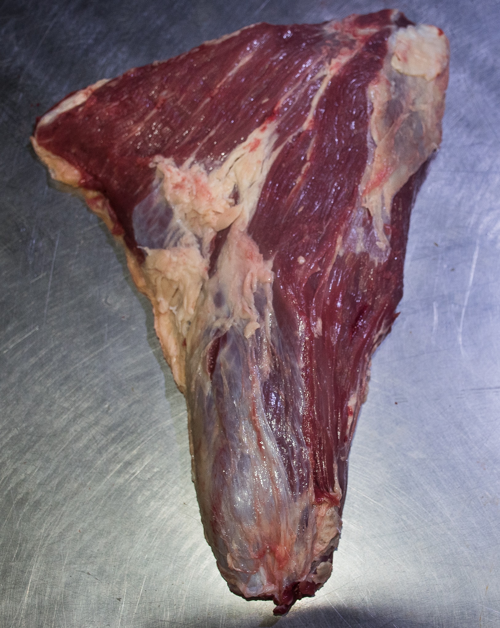 Beef Tail of Rump for sale